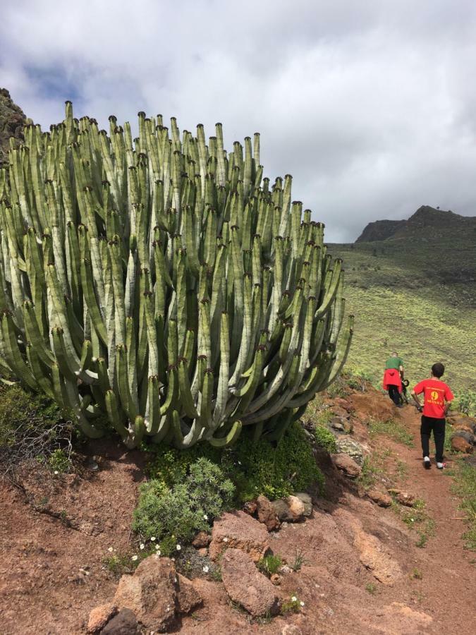 Casa Manel, La Gomera San Sebastián de la Gomera 외부 사진